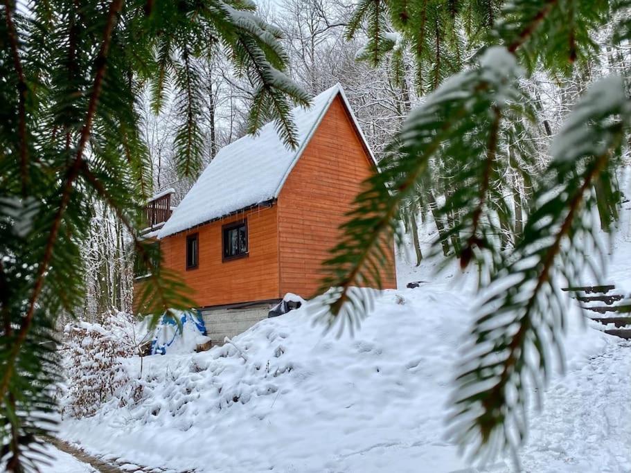 Chata Pod Pindulou Vila Rožnov pod Radhoštěm Exterior foto